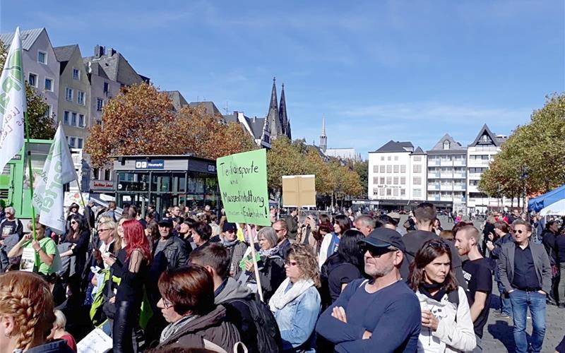 Köln: Demo gegen Tiertransporte ins Ausland