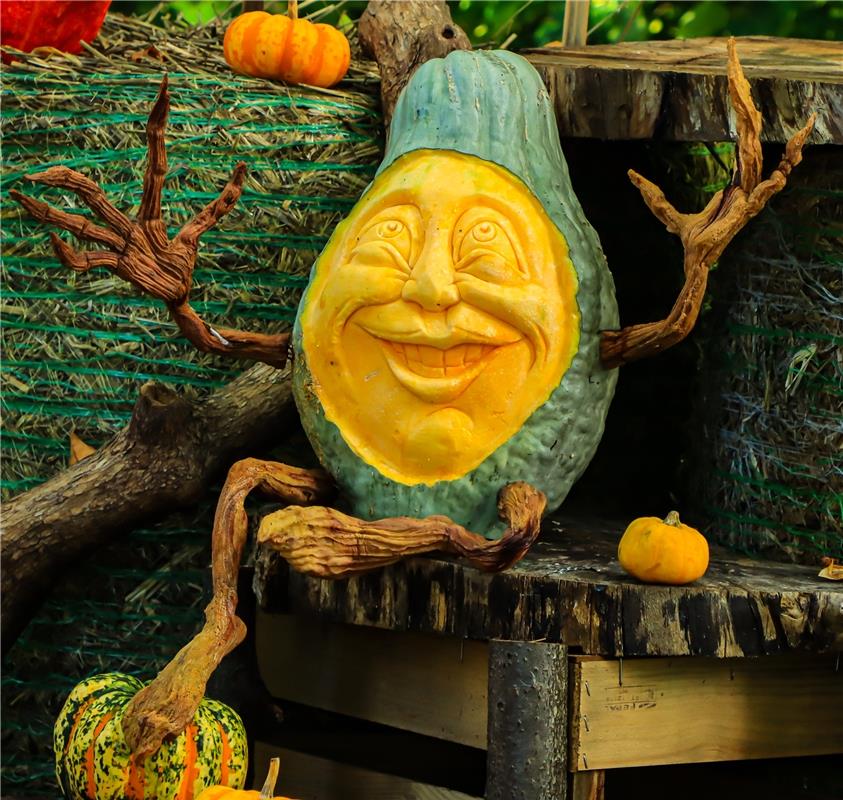 Kürbiszeit ...  Von Natalie Politz aus Hildrizhausen.