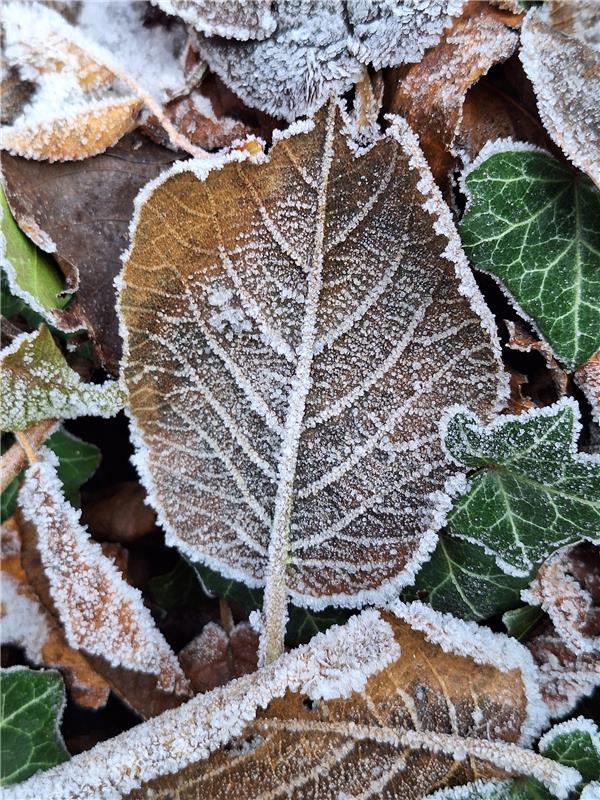 Kunst von Väterchen Frost.  Von Peter Ruthardt aus Herrenberg-Mönchberg. 