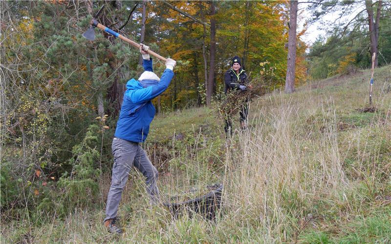 Landschaftspflege-Einsatz am Naturdenkmal „Greutäcker“