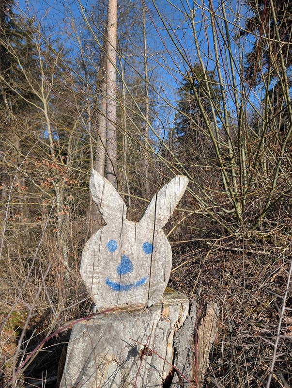 Langsam kommt die Osterhasenzeit!🙂🐰  Von Uli Hafner aus Deckenpfronn.