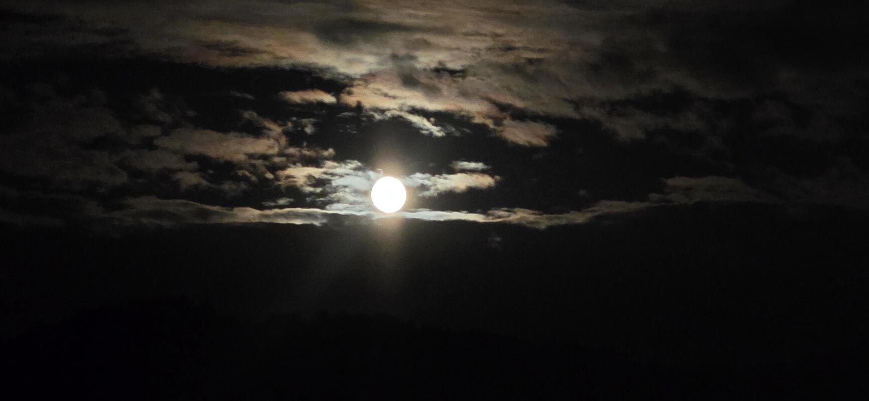 Lauer Sommerabend bei der Familie Wolf im Besen, mit tollem Vollmond.  Von Ulrik...