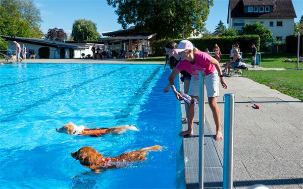 Lenny von Saskia Geser (vorn) schwimmt mit Ben von Sabrina Wankmüller (hinten) fast um die Wette. GB-Foto: Nüssle