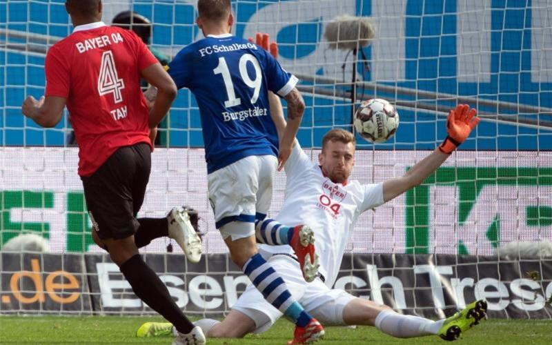 Leverkusens Torwart Lukas Hradecky (r) kann das 1:1 durch Schalkes Guido Burgstaller (M) nicht verhindern. Foto: Federico Gambarini
