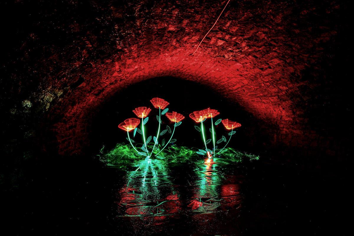 Lichtgemalte Blumen ...  Von Natalie Politz aus Hildrizhausen.