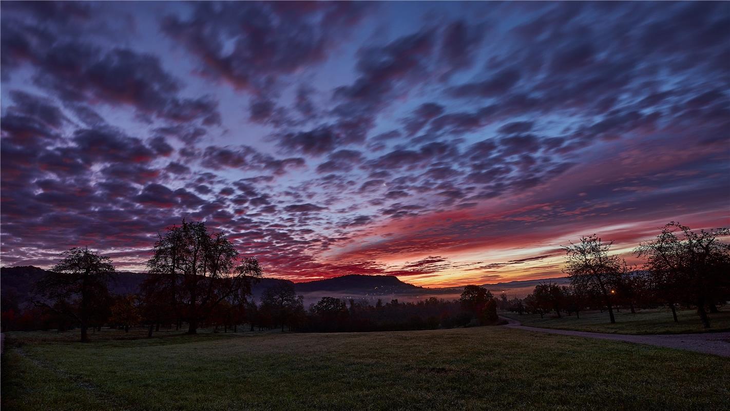 Lichtstimmung vor dem Sonnenaufgang...  Von Anne Biedermann aus Herrenberg.