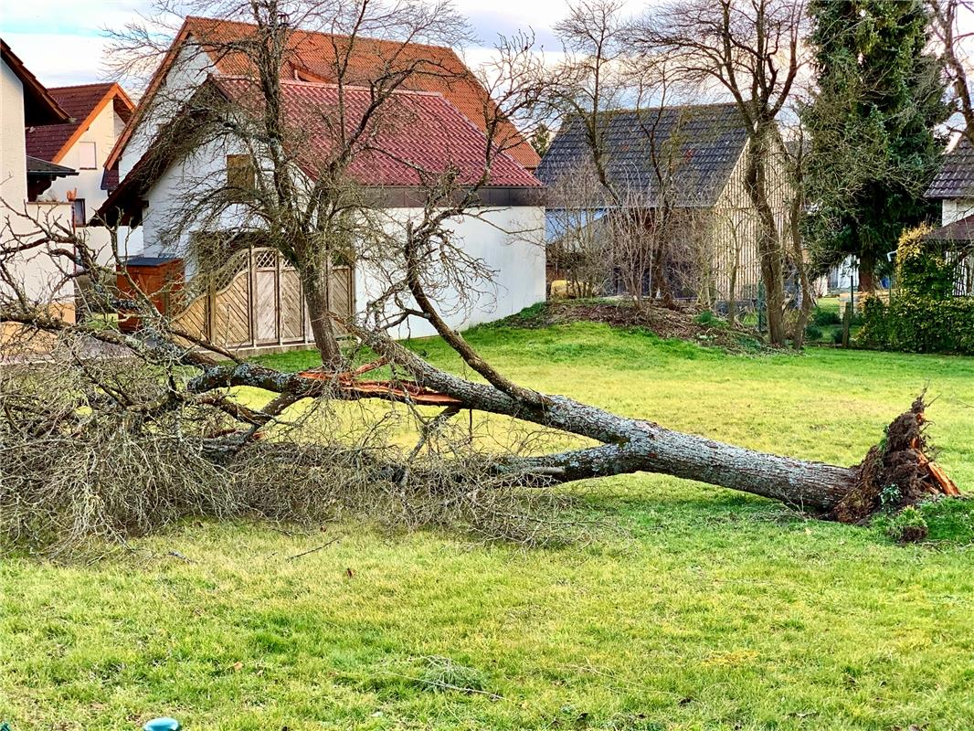 "Lokales Sturmopfer", sagt Minja Rollinson zu ihrem Leser-Schnappschuss aus Ösch...