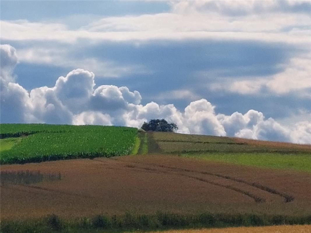 Mächtige Wolkentürme kommen von Deckenpfronn über den Horizont, wie Martin Allge...