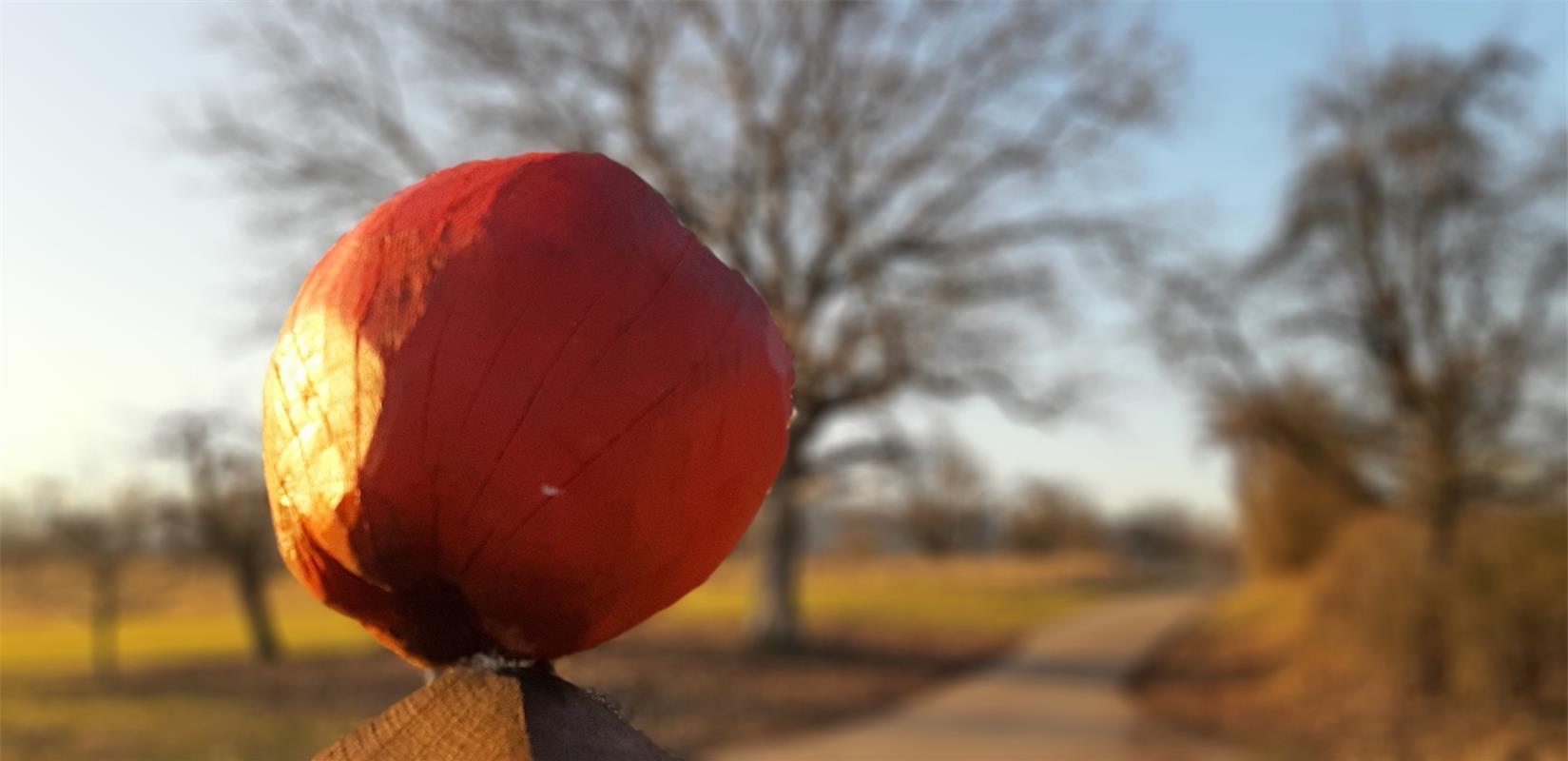 "Mag er auch noch so prall und rot sein: Dieser Apfel ist ein Fake", berichtet C...