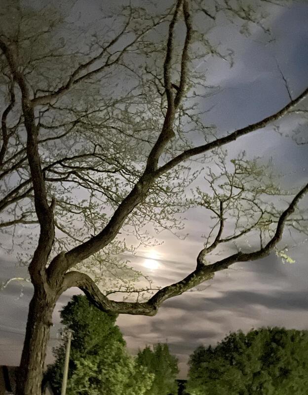 Magic Mond  Von Rainer Bruckner aus Kuppingen.