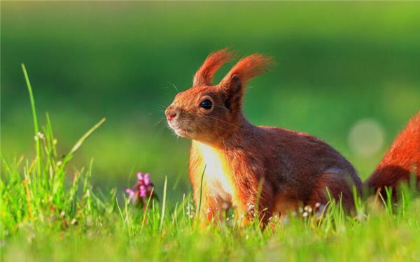 Mal die Sonne genießen ... (Diesen kleinen Kerl hat Natalie Politz aus Hildrizhausen fotografiert)