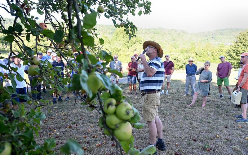 Manfred Nuber (vorne) gab beim traditionellen Rundgang durch die Streuobstwiesen einen Ausblick auf die Ernte. GB-Foto: Holom