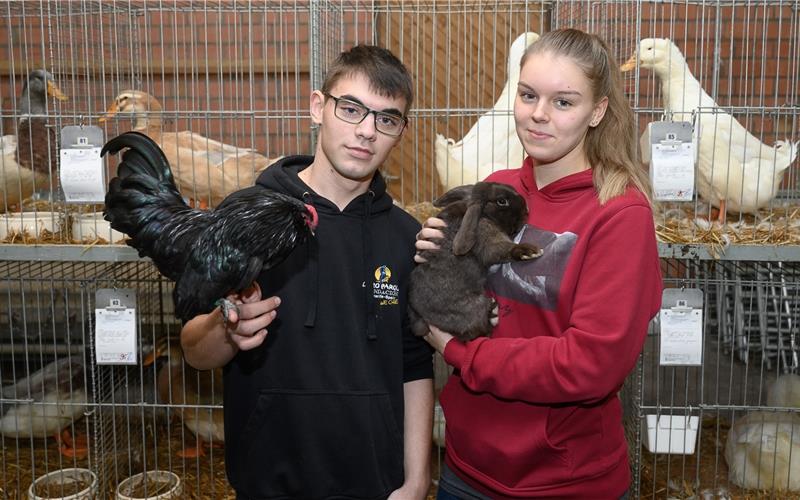 Viele Züchter, Vielfalt der Tiere Marc Weber und Sabrina Meyer kümmern sich liebevoll um ihre Tiere GB-Foto: Schmidt