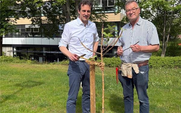 Martin Wuttke und Manfred Nuber (rechts) mit einem der veredelten Streuobstbäume. GB-Foto:gb
