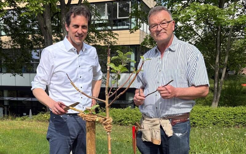 Martin Wuttke und Manfred Nuber (rechts) mit einem der veredelten Streuobstbäume. GB-Foto:gb