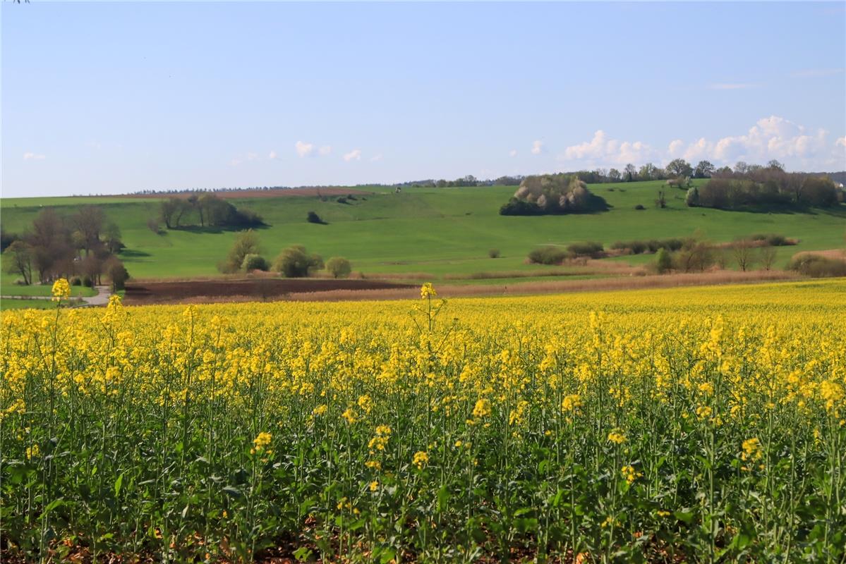 Maurener Tal.  Von Natalie Politz aus Hildrizhausen.