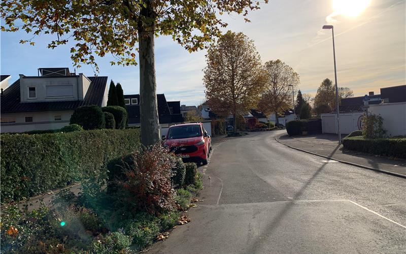 Mehr Baumquartiere wie hier in der Beethovenstraße sollen in den nächsten Jahren in weiteren Teilen Herrenbergs entstehen. GB-Foto: gb