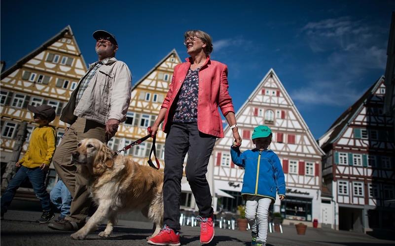 Mehr als 1200 Hundesteuerbescheide für das Jahr 2022 verschickt die Herrenberger Stadtverwaltung diese Woche an alle Hundehalter, die ihr Tier angemeldet haben, per Post. GB-Foto: gb