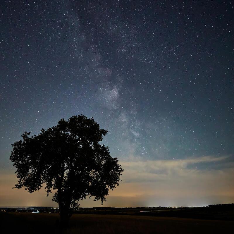 Mein Freund der Baum – mit der Sommermilchstraße.  Von Anne Biedermann aus Herre...