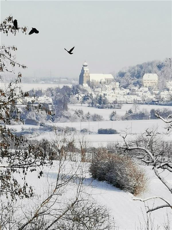 "Meine alte Heimat von meiner neuen Heimat (Tailfingen) aus fotografiert", sagt ...