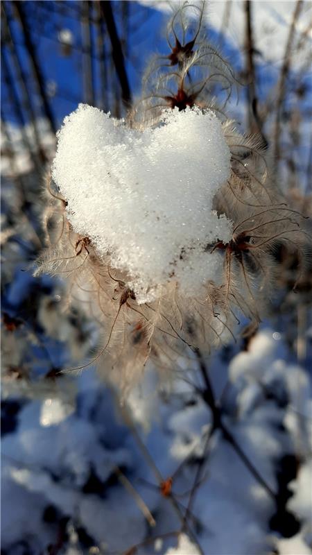 Michael Enz aus Gärtringen  hat am Wegesrand das Herz des Winters entdeckt