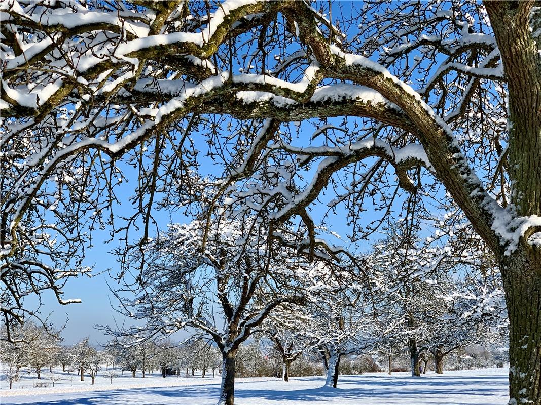 Minja Rollinson aus Öschelbronn weilt im Winter Wonderland. 