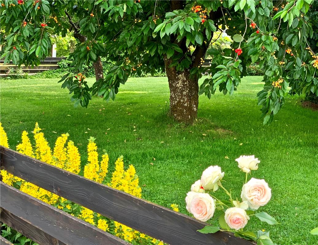 Minya Rollinson aus Öschelbronn hat "ein bisschen Blumen, ein bisschen Obst" fes...