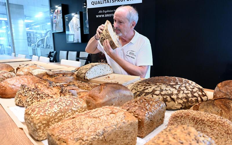 Mit Augen, Nase, Gaumen und Tastsinn prüft der Brotsommelier ein Steinofenbrot der Bäckerei Baier. GB-Foto: Holom