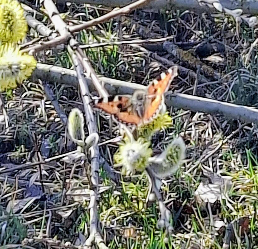 Mit Geduld erkennt man die Schönheit der Natur.  Von Maria Tabitha Weisse aus He...