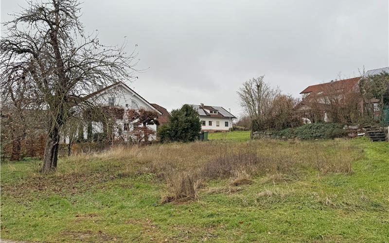 Mit der Einführung einer Grundsteuer C soll in Mötzingen die Zahl der Baulücken ab 2027 merklich reduziert werden. GB-Foto: Priestersbach