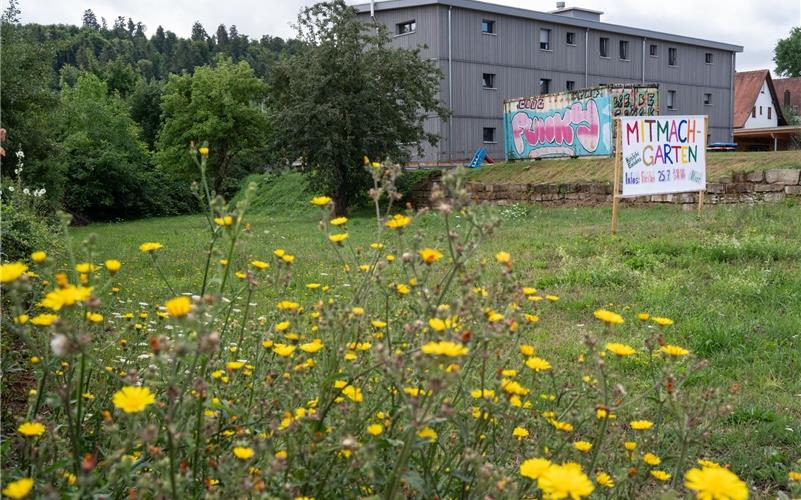 Mit einem großen bunten Banner bewerben die Initiatoren des ersten Nufringer Mitmach-Gartens auf dem noch brachliegenden Wiesengrundstück der Gemeinde nahe der Pelagiuskirche das Kennenlern-Picknick für weitere Interessierte am 25. Juli. GB-Foto: Vecsey