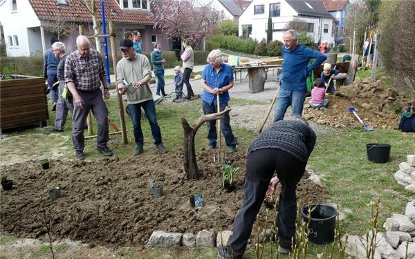 Mitte März treffen sich Helferinnen und Helfer für die Pflanzarbeiten im Hortus Animae.GB-Fotos: Metz
