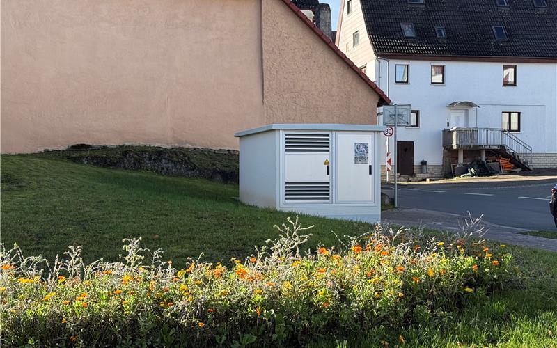 Mötzingen soll schöner werden: Der Gemeinrat hat beschlossen, im Kreuzungsbereich von Iselshauser und Nagolder Straße einen schmucken Solitärbaum zu pflanzen und eine Pflanzfläche zu schaffen. GB-Foto: Priestersbach