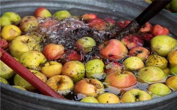 „Mogsch Moscht?“ Es ist wieder Zeit für Apfelernte (gesehen in Bondorf) GB-Foto: Schmidt