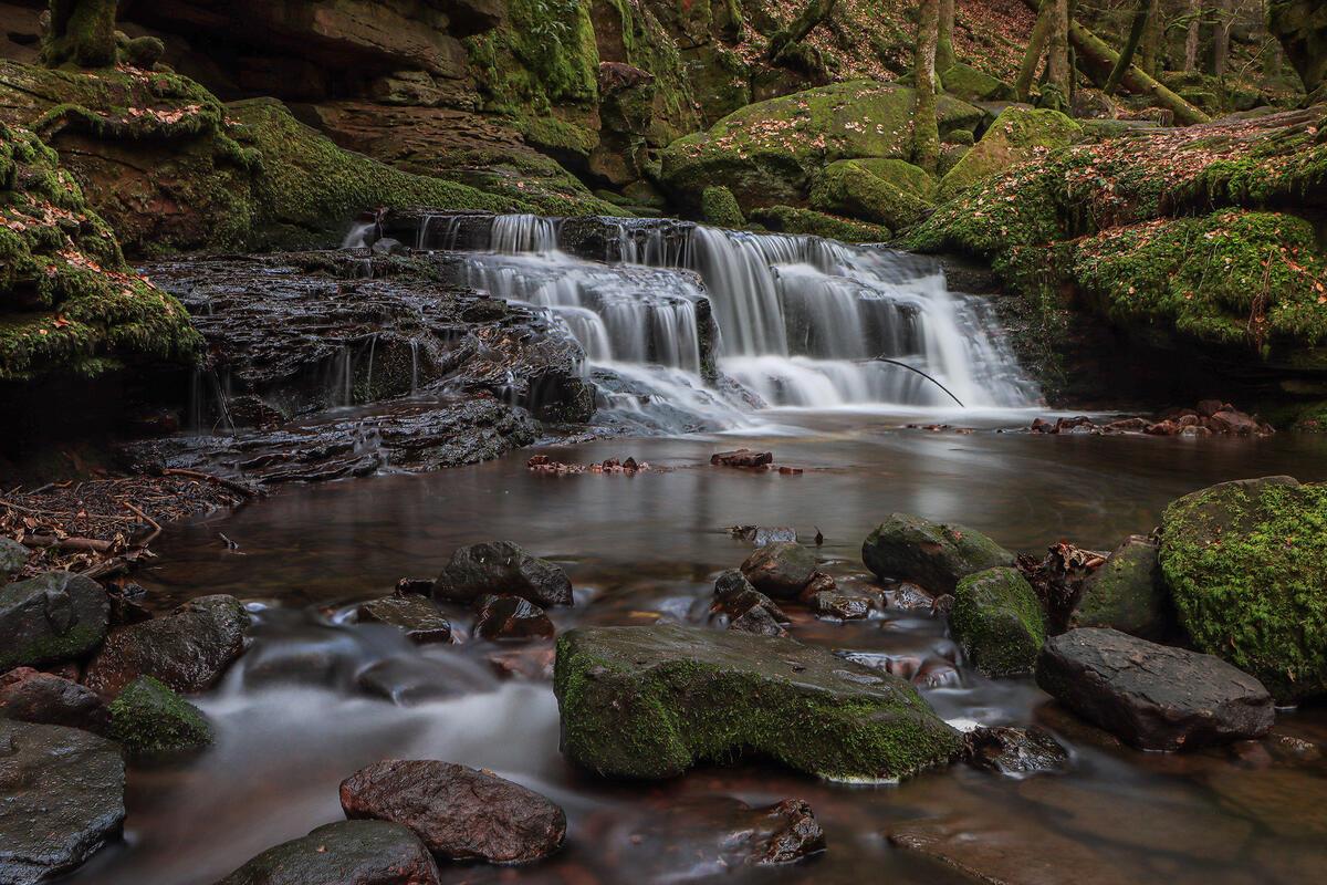 Monbachschlucht.  Von Natalie Politz aus Hildrizhausen.
