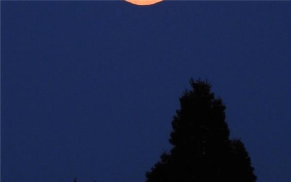 Mondaufgang am sternenklaren Himmel(gesehen in Herrenberg)GB-Foto: Sabine Schöllkopf