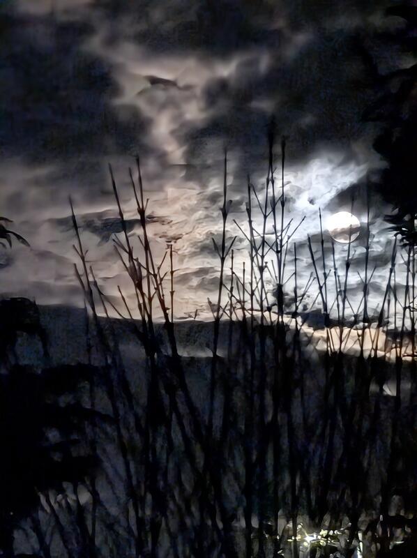 Mondleuchten. Von Silvia Drechsel.