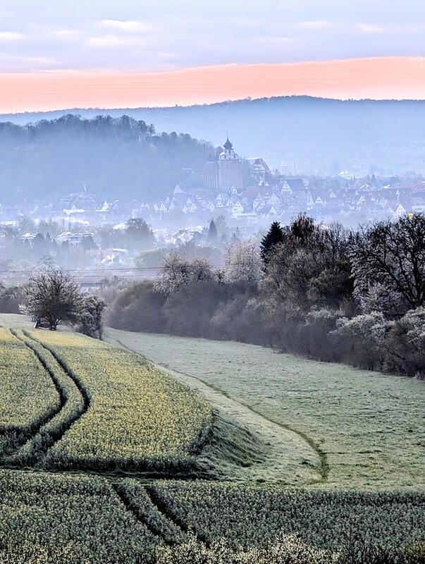 Morgendämmerung über Herrenberg.  Von Eva Althoff-Nüßle aus Affstätt.