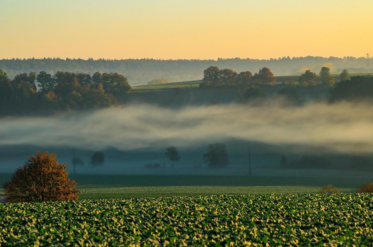 Morgenlandschaft vom Maurener Tal mit tief hängenden Nebel ...  Von Natalie Poli...