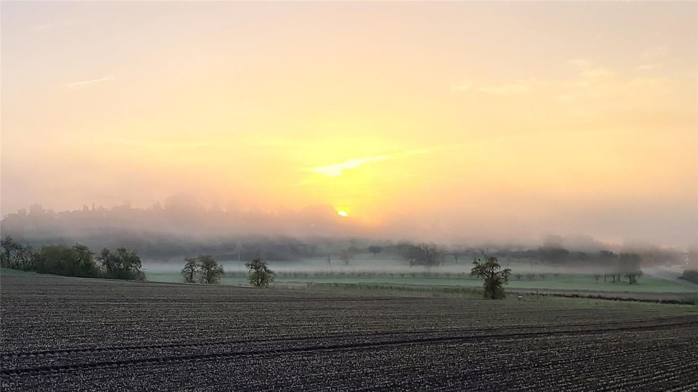 Morgennebel. Von Susanne Marquardt aus Gültstein.