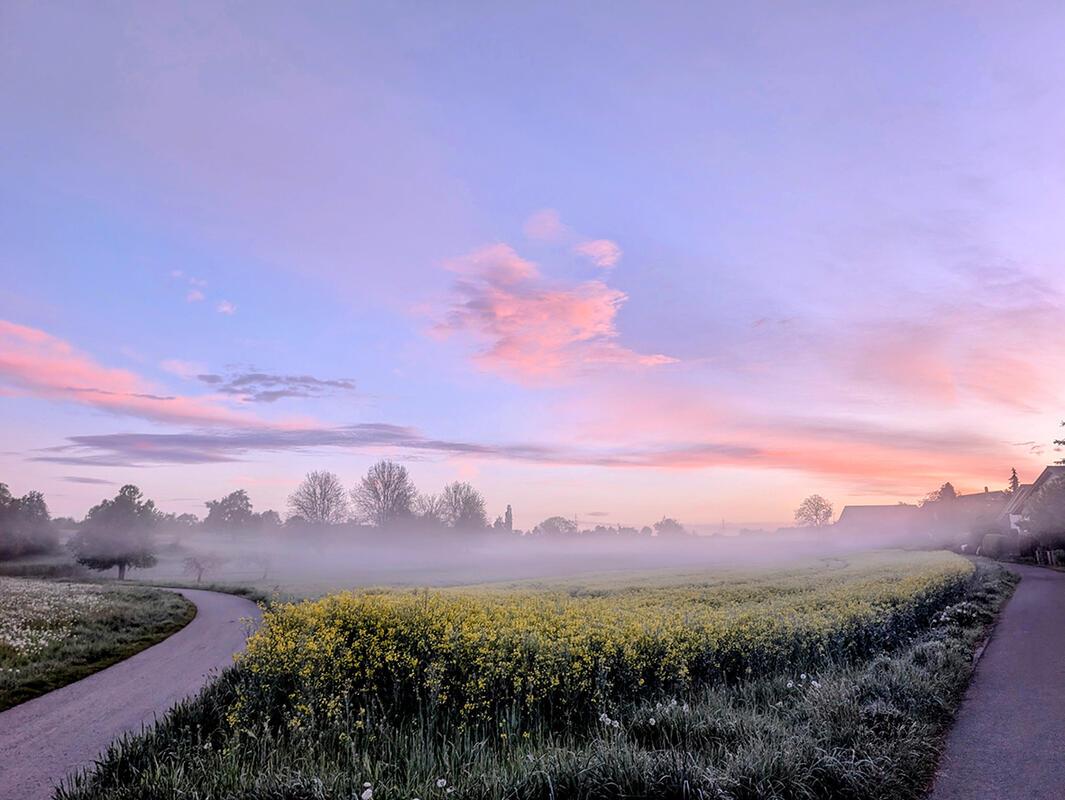 Morgennebel zwischen Affstätt und Kuppingen. Von Eva Althoff-Nüßle aus Affstätt.