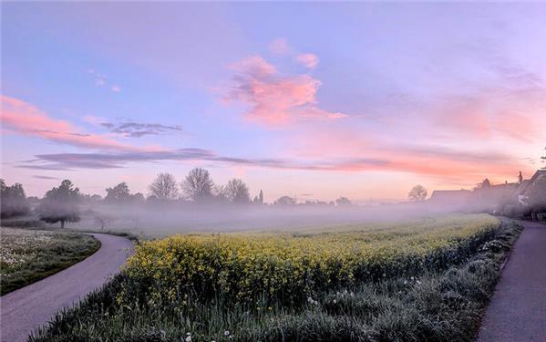 Morgennebel zwischen Affstätt und Kuppingen (aufgenommen von Eva Althoff-Nüßle aus Affstätt)