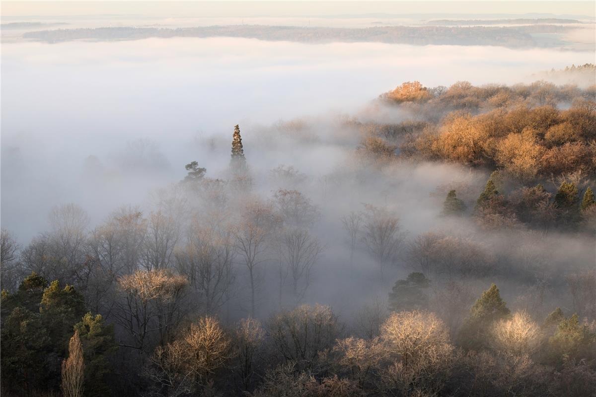 Morgens auf dem Herrenberger Schönbuchturm blickte die Sindlingerin Sonja Sayer ...