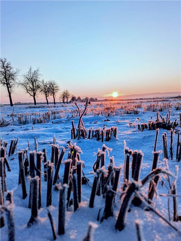 Morgens bei -15 Grad an der Hofschuir in Bondorf.  Von Nadine Bruer aus Kuppinge...