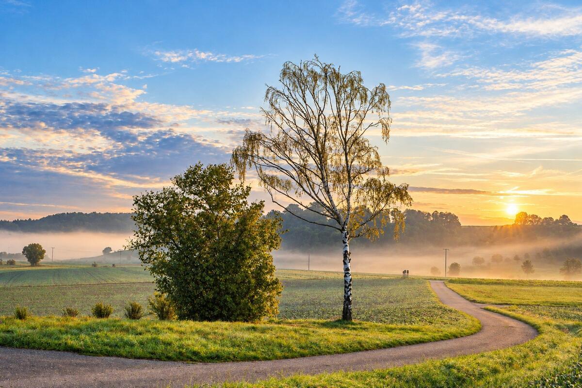 Morgens im Maurener Tal. Von Natalie Politz aus Hildrizhausen.
