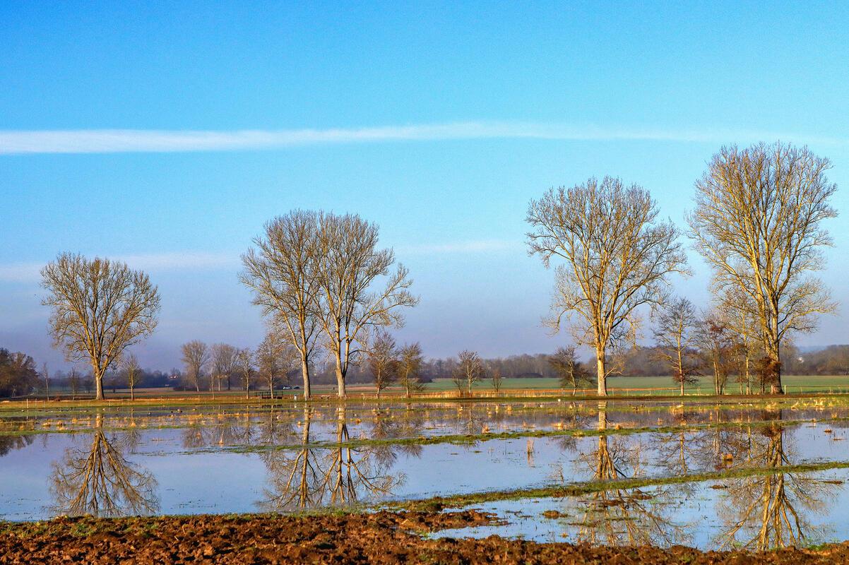 Morgens in Rohrau ...  Von Natalie Politz aus Hildrizhausen.