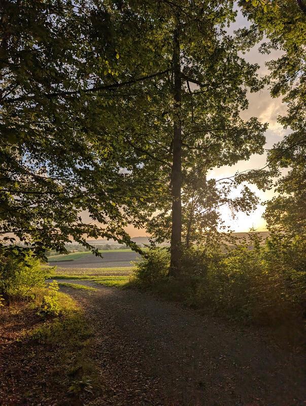 Morgenstimmung.  Von Eva Althoff Nüßle aus Herrenberg.