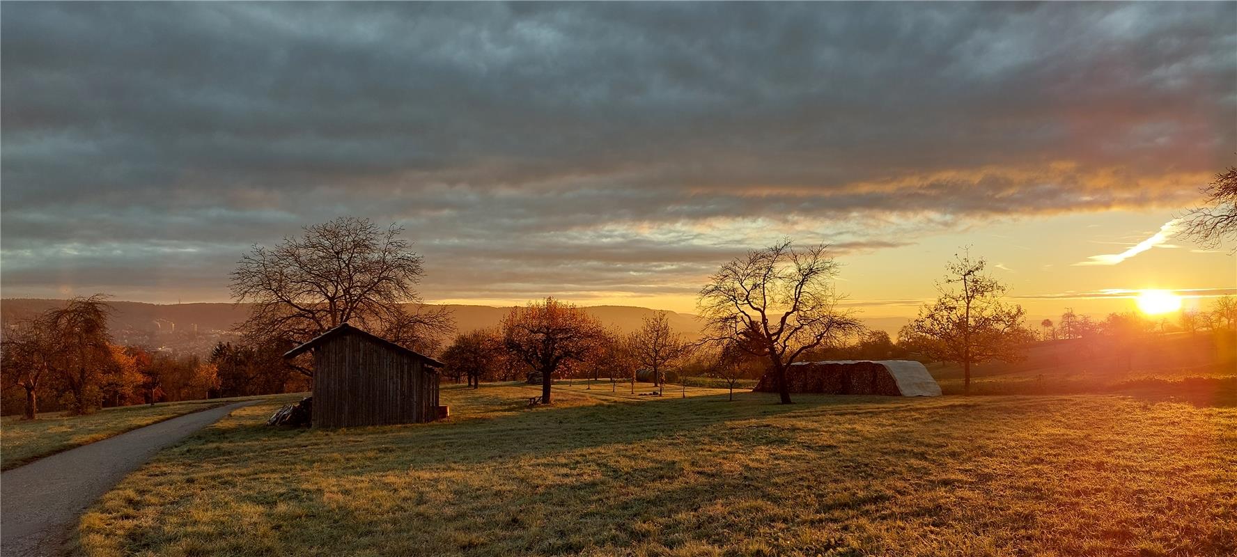 Morgenstimmung. Von Melanie Haarer aus Herrenberg.