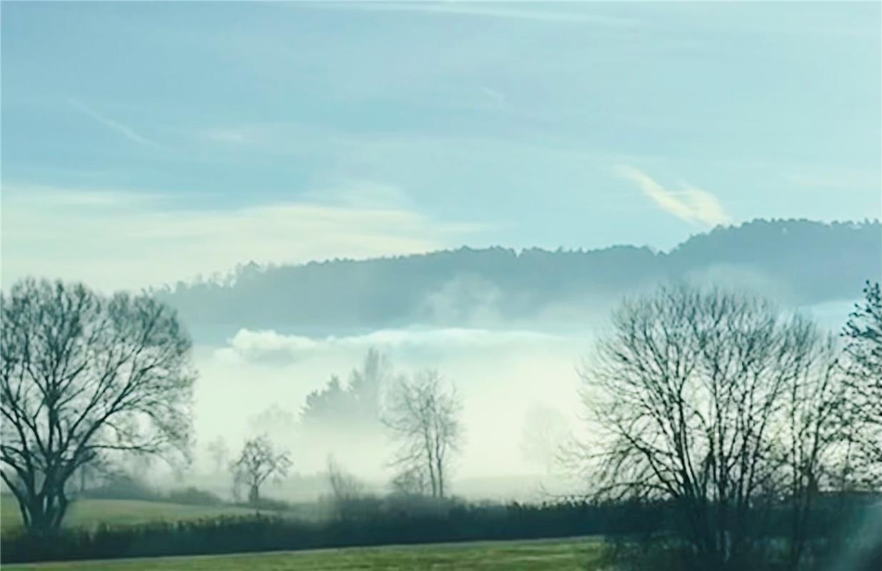 Morgenstimmung auf dem Weg nach Tübingen.  Von Miriam Fiedler aus Herrenberg.