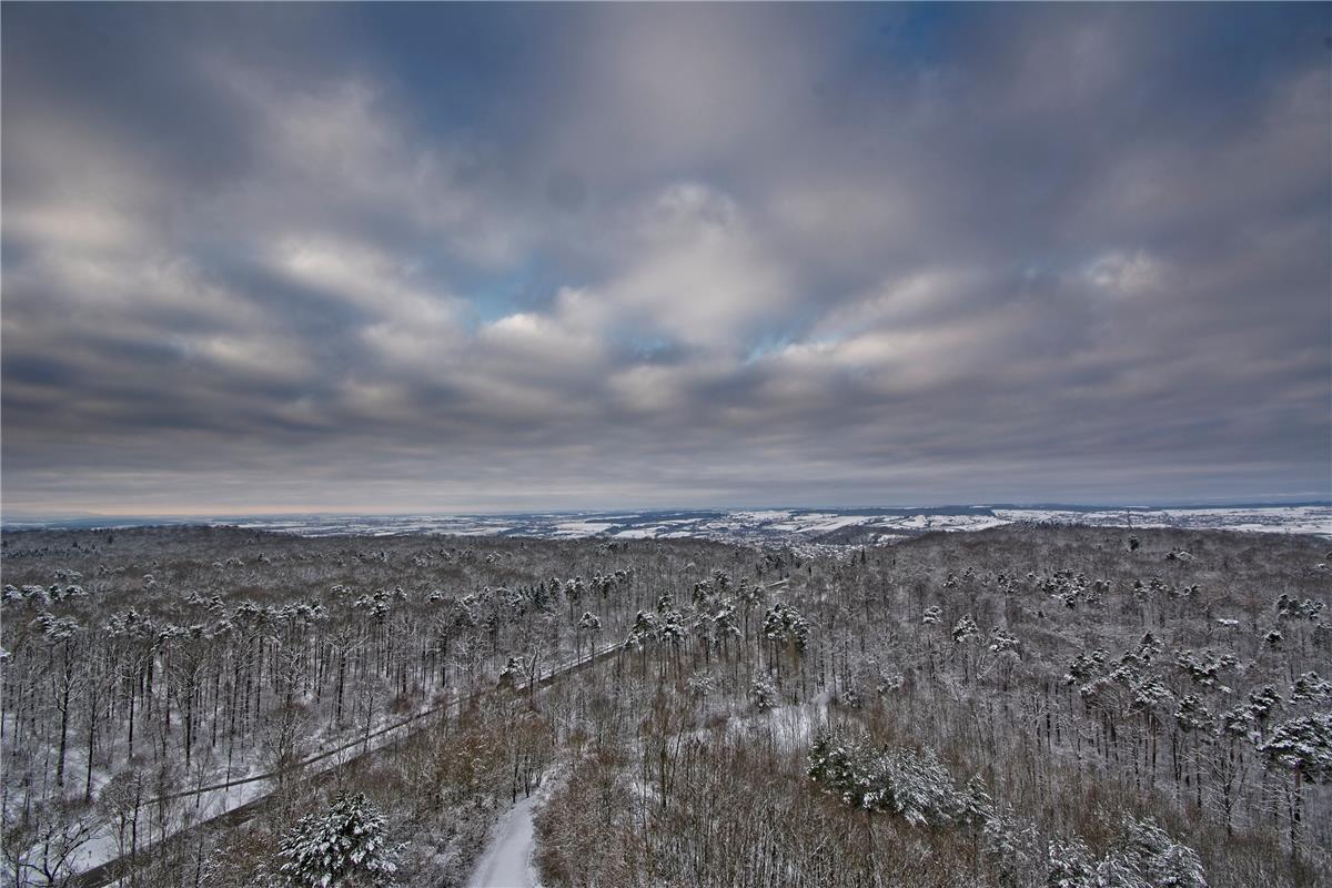 Morgenstimmung im Winter beim Schönbuchturm Herrenberg  : Lienhard Schwerdtfeger...